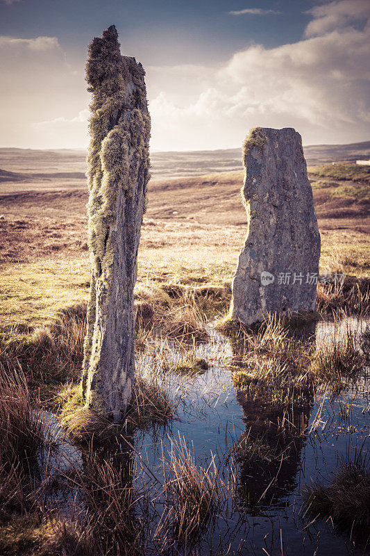 Callanish IV立石上的地衣